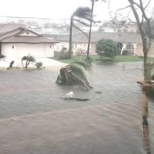 🌀Hurricane Ian 🌀 Markdowns. Your purchase from my closet helps 🙏 Thanks 👍